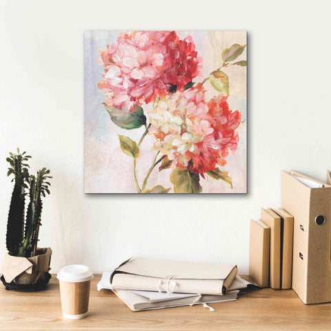Image of 'Petal Paint 1' by Karen Smith Giclee Canvas Wall Art,18x18