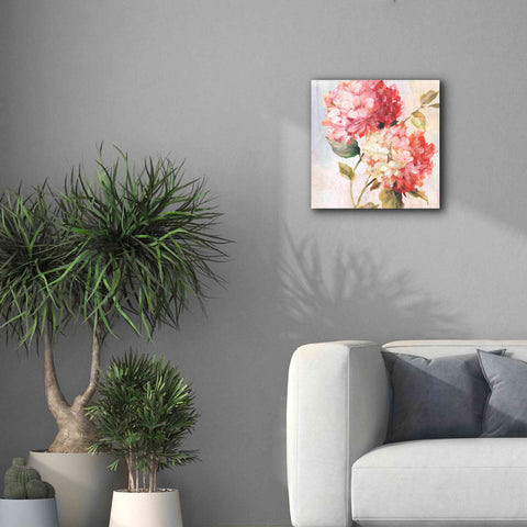 Image of 'Petal Paint 1' by Karen Smith Giclee Canvas Wall Art,18x18