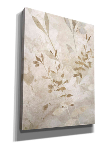 Image of 'Nature Wall 2' by Karen Smith Giclee Canvas Wall Art