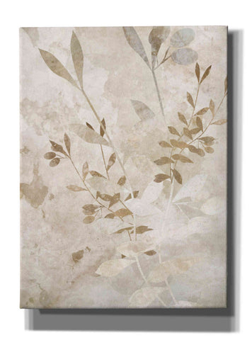 Image of 'Nature Wall 2' by Karen Smith Giclee Canvas Wall Art