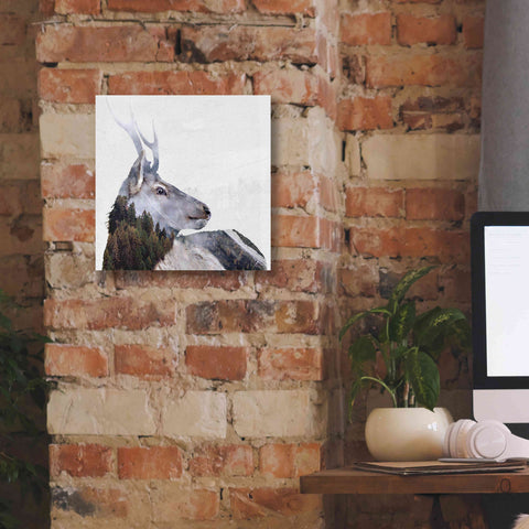 Image of 'Alpine Stag' by Karen Smith Giclee Canvas Wall Art,12x12
