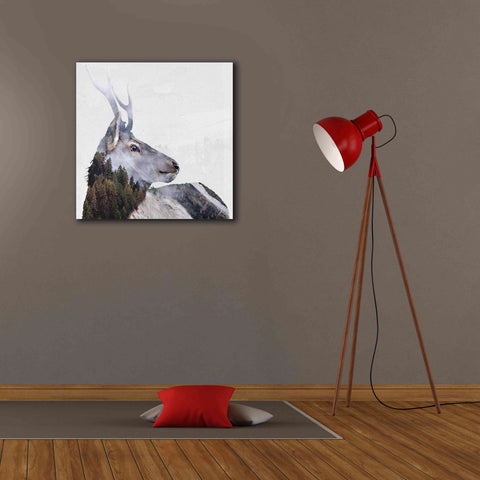 Image of 'Alpine Stag' by Karen Smith Giclee Canvas Wall Art,26x26