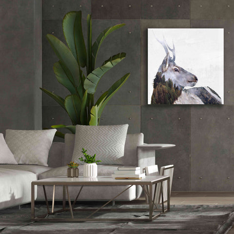 Image of 'Alpine Stag' by Karen Smith Giclee Canvas Wall Art,37x37