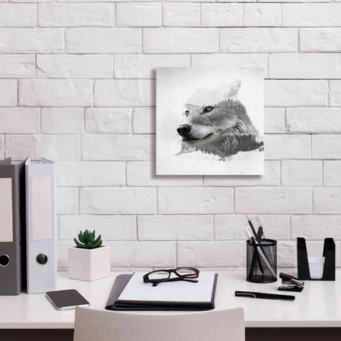 Image of 'Wolf In Ice' by Karen Smith Giclee Canvas Wall Art,12x12