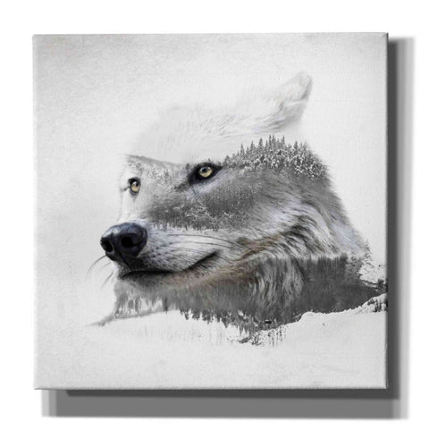Image of 'Wolf In Ice' by Karen Smith Giclee Canvas Wall Art
