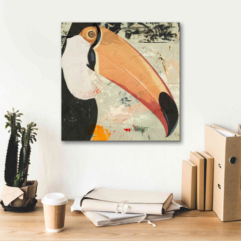 Image of 'Toucan Play 2' by Karen Smith Giclee Canvas Wall Art,18x18