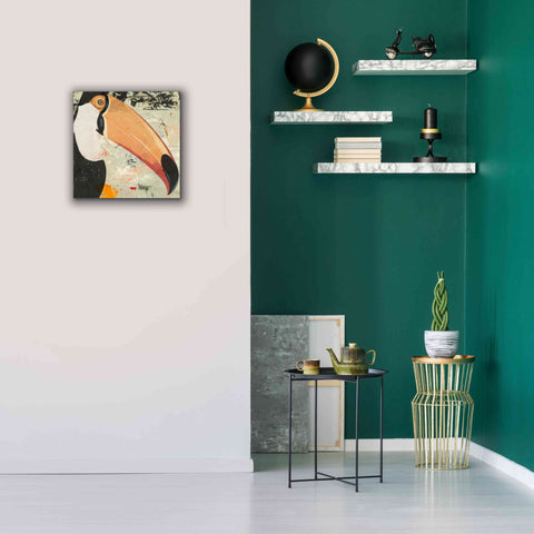 Image of 'Toucan Play 2' by Karen Smith Giclee Canvas Wall Art,18x18