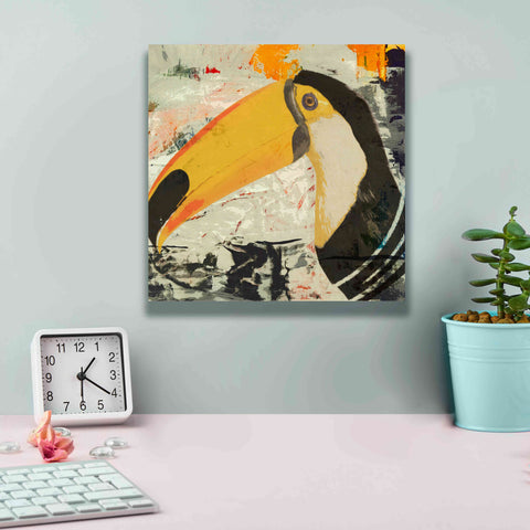 Image of 'Toucan Play 1' by Karen Smith Giclee Canvas Wall Art,12x12