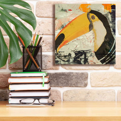 Image of 'Toucan Play 1' by Karen Smith Giclee Canvas Wall Art,12x12