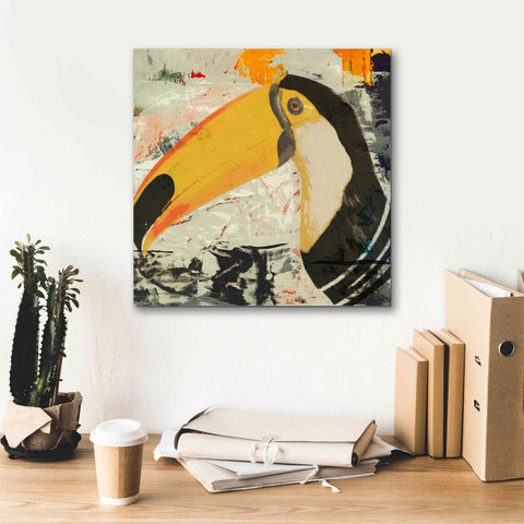 Image of 'Toucan Play 1' by Karen Smith Giclee Canvas Wall Art,18x18