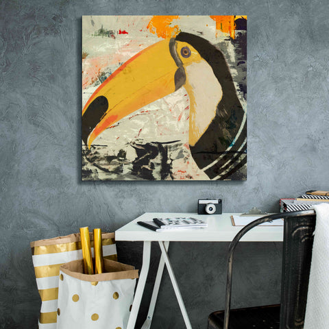 Image of 'Toucan Play 1' by Karen Smith Giclee Canvas Wall Art,26x26