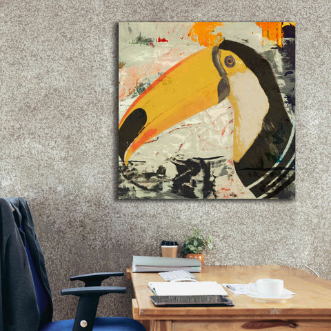 Image of 'Toucan Play 1' by Karen Smith Giclee Canvas Wall Art,37x37