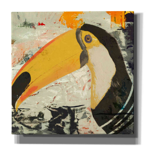 Image of 'Toucan Play 1' by Karen Smith Giclee Canvas Wall Art