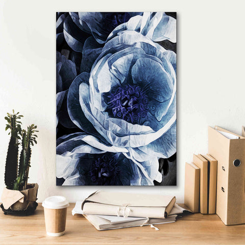 Image of 'Peony Blue Petals 1' by Ashley Aldridge Giclee Canvas Wall Art,18 x 26