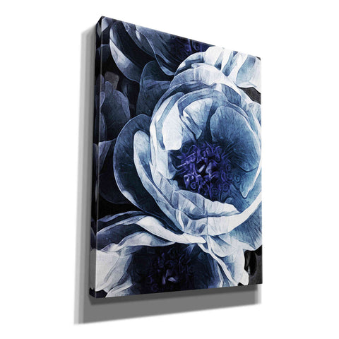 Image of 'Peony Blue Petals 1' by Ashley Aldridge Giclee Canvas Wall Art