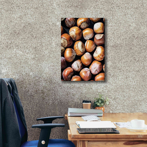 Image of 'Fruit Of The Hazel 1' by Ashley Aldridge Giclee Canvas Wall Art,18 x 26