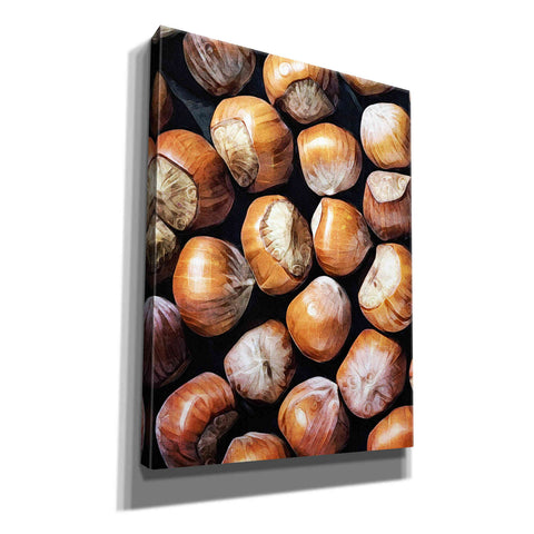 Image of 'Fruit Of The Hazel 1' by Ashley Aldridge Giclee Canvas Wall Art