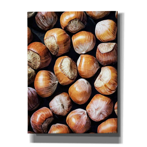 Image of 'Fruit Of The Hazel 1' by Ashley Aldridge Giclee Canvas Wall Art