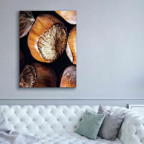 Image of 'Fruit Of The Hazel 3' by Ashley Aldridge Giclee Canvas Wall Art,40 x 54