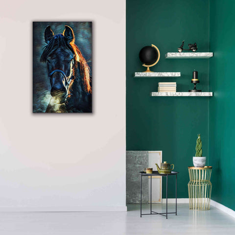 Image of 'Black Stallion Stare 1' by Ashley Aldridge Giclee Canvas Wall Art,26 x 40
