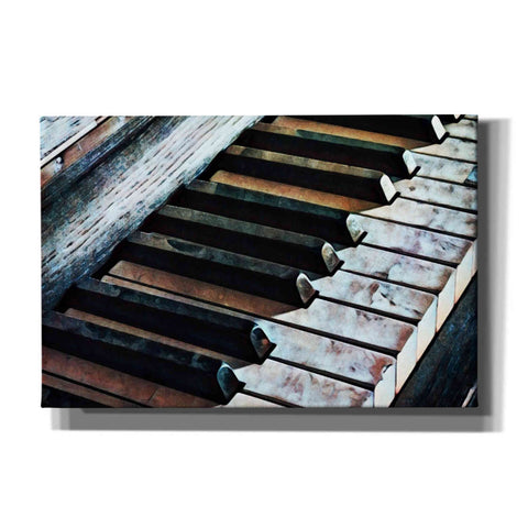 Image of 'Magnified & Musical 1' by Ashley Aldridge Giclee Canvas Wall Art