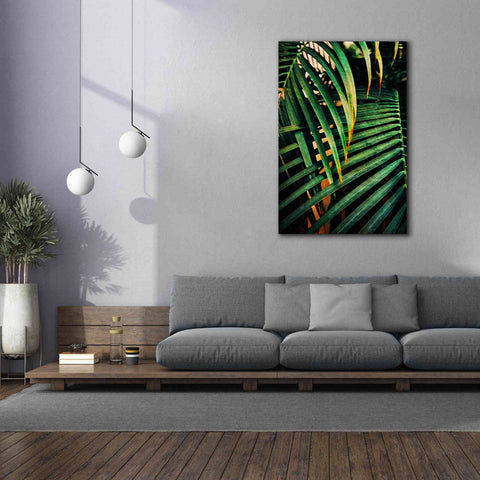 Image of 'Beauty Amongst Palms 3' by Ashley Aldridge Giclee Canvas Wall Art,40 x 60
