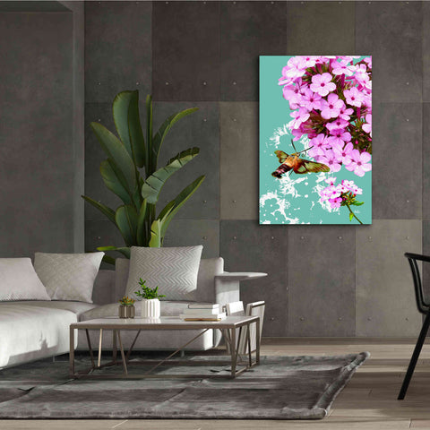 Image of 'Clearwing On Flox' by Evelia Designs Giclee Canvas Wall Art,40 x 60