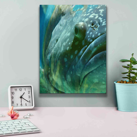 Image of 'Turquoise Splash One' by Steve Hunziker Giclee Canvas Wall Art,12 x 16