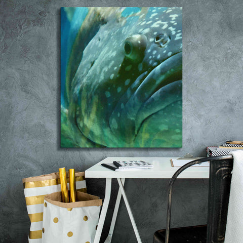 Image of 'Turquoise Splash One' by Steve Hunziker Giclee Canvas Wall Art,26 x 30