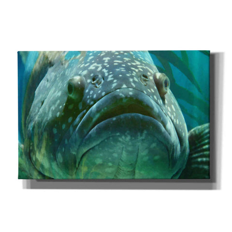 Image of 'Turquoisesplash Two' by Steve Hunziker Giclee Canvas Wall Art