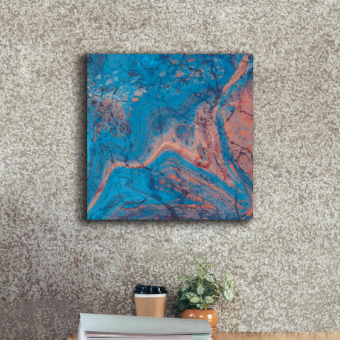 Image of 'Craquelure One' by Steve Hunziker Giclee Canvas Wall Art,18 x 18