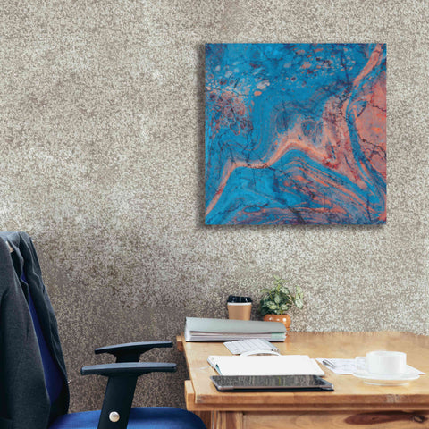 Image of 'Craquelure One' by Steve Hunziker Giclee Canvas Wall Art,26 x 26