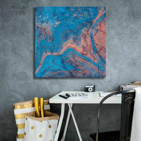 Image of 'Craquelure One' by Steve Hunziker Giclee Canvas Wall Art,26 x 26