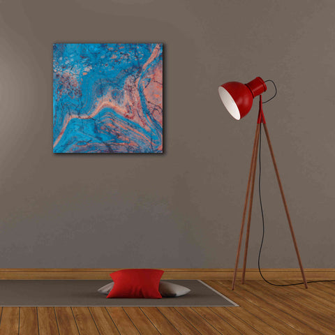 Image of 'Craquelure One' by Steve Hunziker Giclee Canvas Wall Art,26 x 26