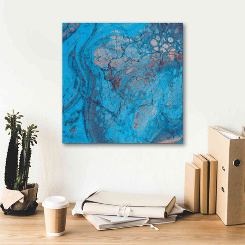 Image of 'Craquelure Two' by Steve Hunziker Giclee Canvas Wall Art,18 x 18