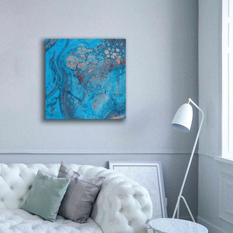 Image of 'Craquelure Two' by Steve Hunziker Giclee Canvas Wall Art,37 x 37