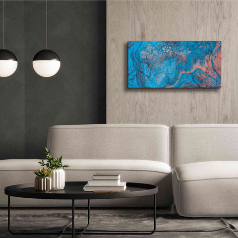 Image of 'Craquelure Three' by Steve Hunziker Giclee Canvas Wall Art,40 x 20