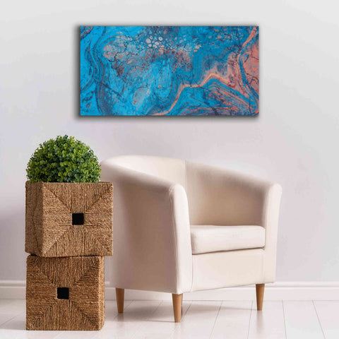 Image of 'Craquelure Three' by Steve Hunziker Giclee Canvas Wall Art,40 x 20