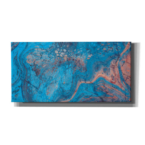 Image of 'Craquelure Three' by Steve Hunziker Giclee Canvas Wall Art