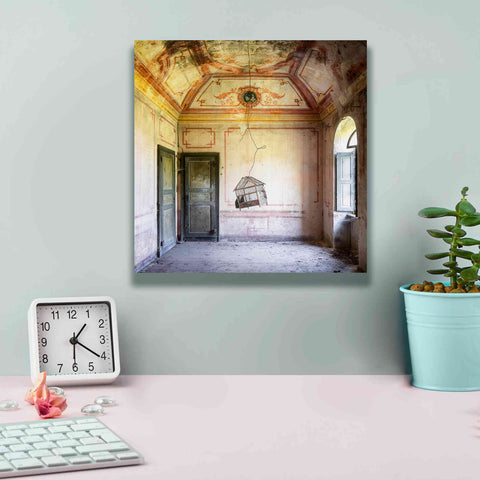 Image of 'Bird Cage' by Roman Robroek Giclee Canvas Wall Art,12 x 12