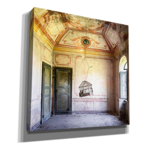 Image of 'Bird Cage' by Roman Robroek Giclee Canvas Wall Art