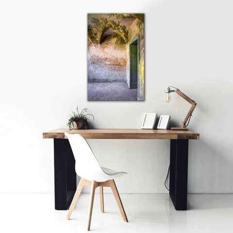 Image of 'Tropical Room' by Roman Robroek Giclee Canvas Wall Art,26 x 40