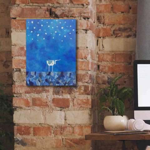 Image of 'Stars at Night by Casey Craig Giclee Canvas Wall Art,12 x 16