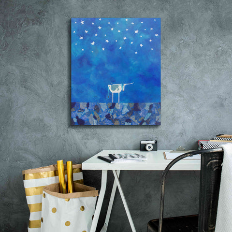 Image of 'Stars at Night by Casey Craig Giclee Canvas Wall Art,20 x 24