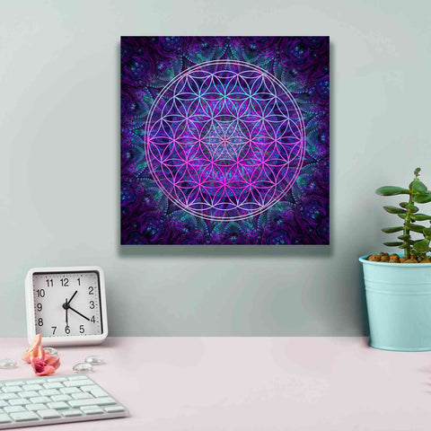 Image of 'Flower Of Life' by Cameron Gray Giclee Canvas Wall Art,12 x 12