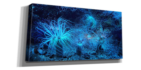 Image of 'Anemone Jungle' by Epic Portfolio, Giclee Canvas Wall Art