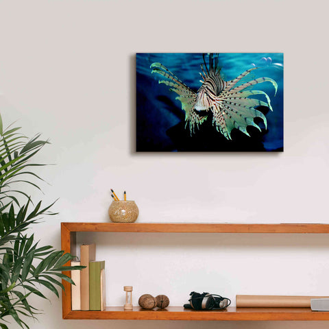 Image of 'Boo' by Epic Portfolio, Giclee Canvas Wall Art,18x12