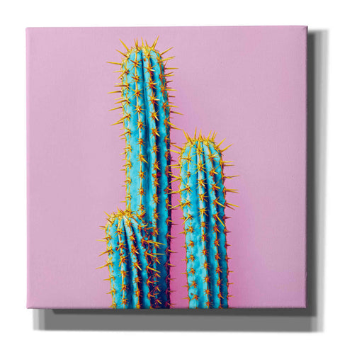 Image of 'Bubble Gum Cactus' by Epic Portfolio, Giclee Canvas Wall Art