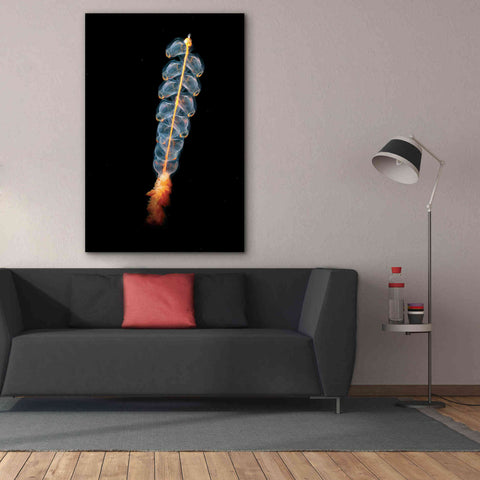 Image of 'Deep Sea Rocket' by Epic Portfolio, Giclee Canvas Wall Art,40x60