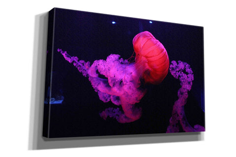 Image of 'Mushroom Cloud' by Epic Portfolio, Giclee Canvas Wall Art